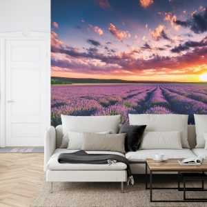 Papier Peint Forêt Dans Le Brouillard – Image 6