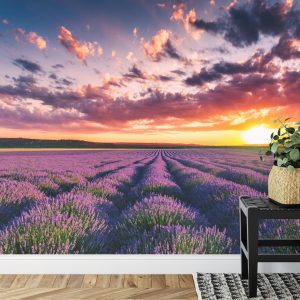 Papier Peint Forêt Dans Le Brouillard – Image 7