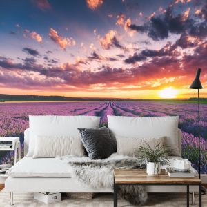 Papier Peint Forêt Dans Le Brouillard – Image 3