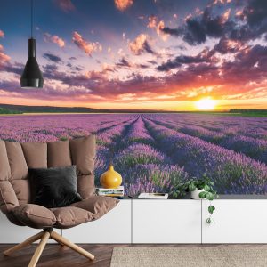 Papier Peint Forêt Dans Le Brouillard – Image 4