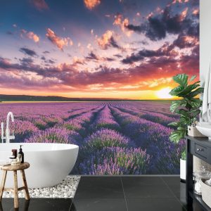 Papier Peint Forêt Dans Le Brouillard – Image 5