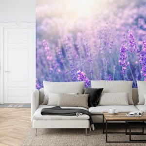 Papier Peint Forêt Dans Le Brouillard – Image 6