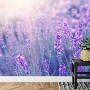 Papier Peint Forêt Dans Le Brouillard – Image 7