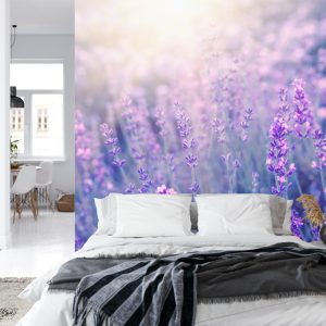 Papier Peint Forêt Dans Le Brouillard – Image 8