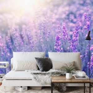 Papier Peint Forêt Dans Le Brouillard – Image 3