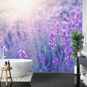 Papier Peint Forêt Dans Le Brouillard – Image 5