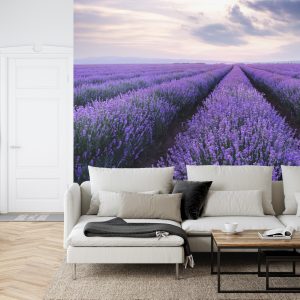 Papier Peint Forêt Dans Le Brouillard – Image 6