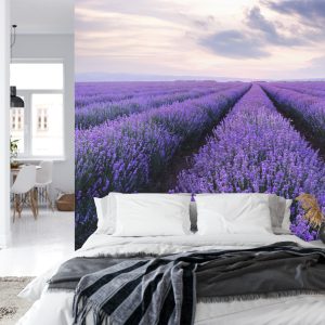 Papier Peint Forêt Dans Le Brouillard – Image 8