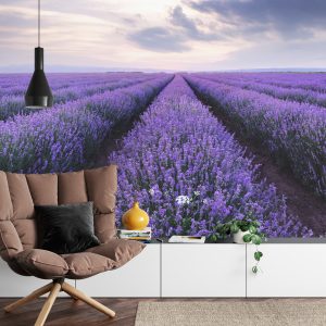 Papier Peint Forêt Dans Le Brouillard – Image 4