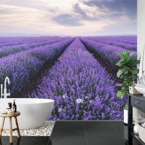 Papier Peint Forêt Dans Le Brouillard – Image 5