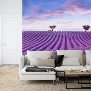 Papier Peint Forêt Dans Le Brouillard – Image 6