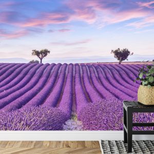 Papier Peint Forêt Dans Le Brouillard – Image 7