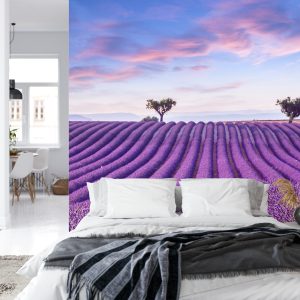 Papier Peint Forêt Dans Le Brouillard – Image 8