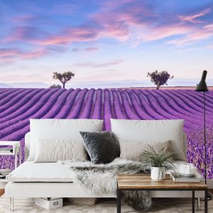 Papier Peint Forêt Dans Le Brouillard – Image 3