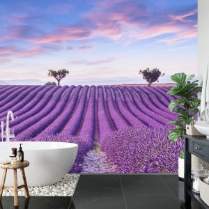 Papier Peint Forêt Dans Le Brouillard – Image 5