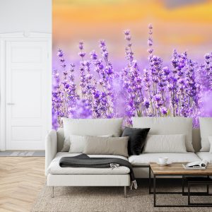 Papier Peint Forêt Dans Le Brouillard – Image 6