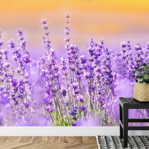 Papier Peint Forêt Dans Le Brouillard – Image 7