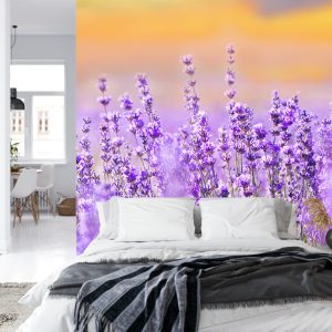 Papier Peint Forêt Dans Le Brouillard – Image 8