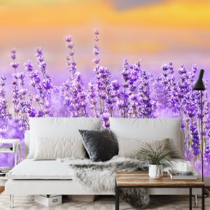 Papier Peint Forêt Dans Le Brouillard – Image 3