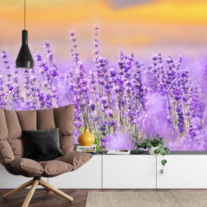 Papier Peint Forêt Dans Le Brouillard – Image 4