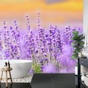 Papier Peint Forêt Dans Le Brouillard – Image 5