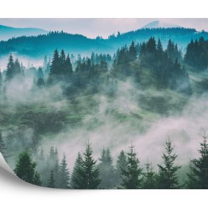 Papier Peint Forêt Dans Le Brouillard – Image 2