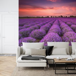 Papier Peint Forêt Dans Le Brouillard – Image 6