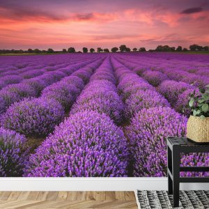 Papier Peint Forêt Dans Le Brouillard – Image 7