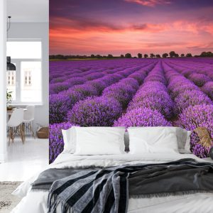 Papier Peint Forêt Dans Le Brouillard – Image 8