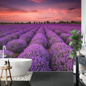 Papier Peint Forêt Dans Le Brouillard – Image 5