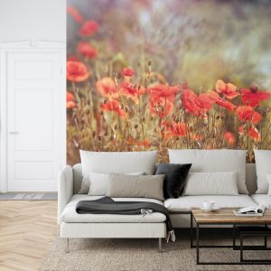 Papier Peint Coquelicots Sauvages Sur La Prairie – Image 6