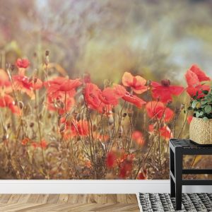 Papier Peint Coquelicots Sauvages Sur La Prairie – Image 7