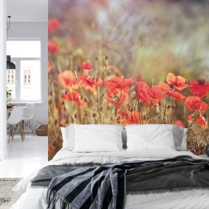 Papier Peint Coquelicots Sauvages Sur La Prairie – Image 8