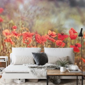 Papier Peint Coquelicots Sauvages Sur La Prairie – Image 3
