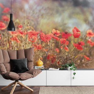Papier Peint Coquelicots Sauvages Sur La Prairie – Image 4