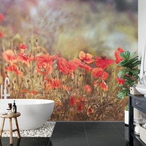 Papier Peint Coquelicots Sauvages Sur La Prairie – Image 5