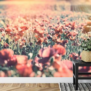 Papier Peint Prairie Pleine De Coquelicots – Image 7