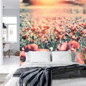Papier Peint Prairie Pleine De Coquelicots – Image 8