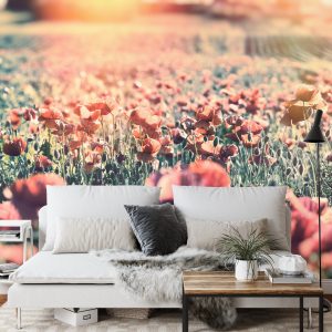Papier Peint Prairie Pleine De Coquelicots – Image 3