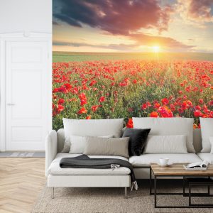 Papier Peint Champ De Coquelicots – Image 6