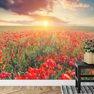 Papier Peint Champ De Coquelicots – Image 7