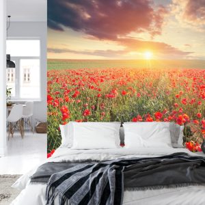 Papier Peint Champ De Coquelicots – Image 8