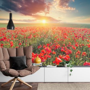 Papier Peint Champ De Coquelicots – Image 4