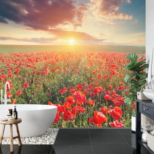 Papier Peint Champ De Coquelicots – Image 5