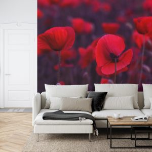 Papier Peint Coquelicots Rouges Sauvages – Image 6