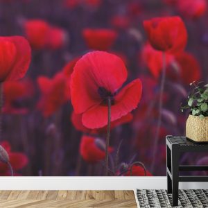 Papier Peint Coquelicots Rouges Sauvages – Image 7