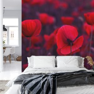 Papier Peint Coquelicots Rouges Sauvages – Image 8