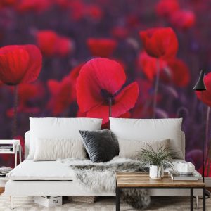 Papier Peint Coquelicots Rouges Sauvages – Image 3