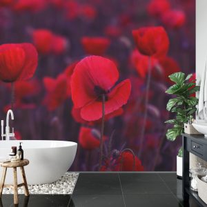 Papier Peint Coquelicots Rouges Sauvages – Image 5