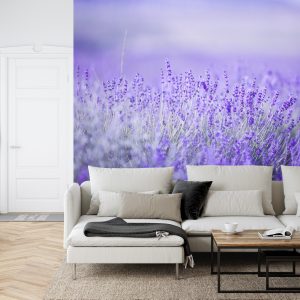 Papier Peint Forêt Dans Le Brouillard – Image 6